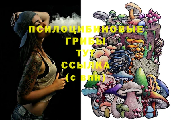 apvp Баксан
