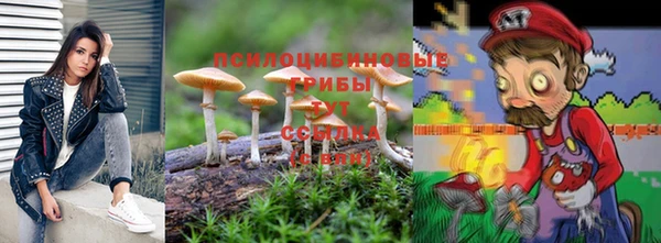 apvp Баксан